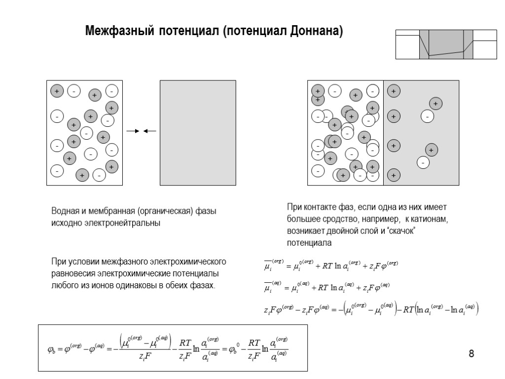 8 Межфазный потенциал (потенциал Доннана) + + + + + + - - -